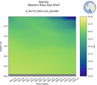 Time series of Western Ross Sea Shelf Salinity vs depth